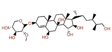 22(23)-Dihydroechinasteroside A desulfated